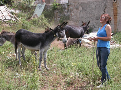 Svetlana Vuica je gotovo zaljubljena u životinje, posebice u magarice koje svakodnevno muze