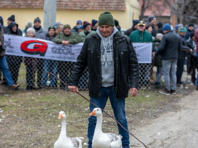 Svetsko prvenstvo u nadmetanju gusana, Mokrin Svetsko prvenstvo u nadmetanju gusana, Mokrin