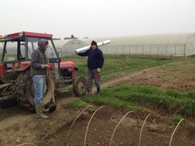 Cijela obitelj sudjeluje u proizvodnji