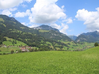 Švicarska, zemlja vrijednih ljudi, pitoresknih krajolika i sretnih krava