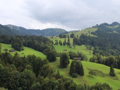 Švicarska, zemlja vrijednih ljudi, pitoresknih krajolika i sretnih krava