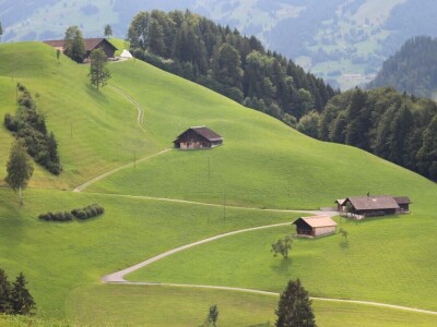 Švicarska, zemlja vrijednih ljudi, pitoresknih krajolika i sretnih krava