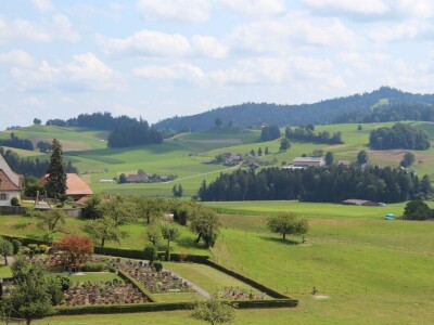 Švicarska, zemlja vrijednih ljudi, pitoresknih krajolika i sretnih krava