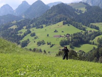 Švicarska, zemlja vrijednih ljudi, pitoresknih krajolika i sretnih krava