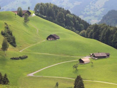 Švicarska, zemlja vrijednih ljudi, pitoresknih krajolika i sretnih krava