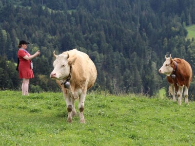Švicarska, zemlja vrijednih ljudi, pitoresknih krajolika i sretnih krava