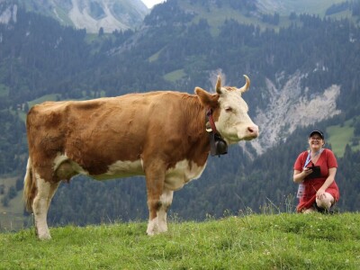 Švicarska, zemlja vrijednih ljudi, pitoresknih krajolika i sretnih krava