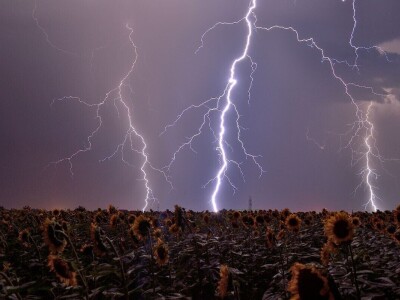 Svih 40 fotografija izbora RuralFoto 2024