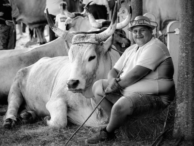 Svih 40 fotografija izbora RuralFoto 2024