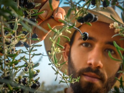 Svih 40 fotografija izbora RuralFoto 2024