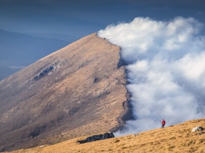 Svih 40 fotografija izbora RuralFoto 2024