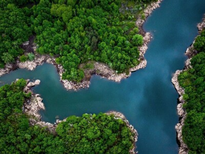 Svih 40 fotografija izbora RuralFoto 2024