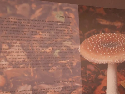 "Svijet gljiva" Vukašina Zekića
