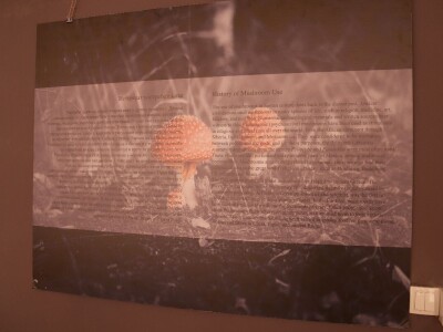 "Svijet gljiva" Vukašina Zekića