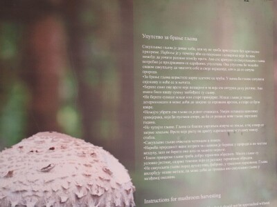 "Svijet gljiva" Vukašina Zekića