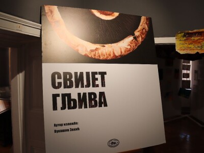 "Svijet gljiva" Vukašina Zekića