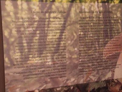 "Svijet gljiva" Vukašina Zekića