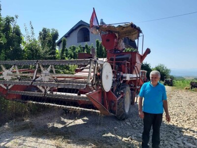 Svinja sa prasićima Svinja sa prasićima