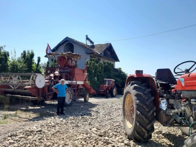 Svinja sa prasićima Svinja sa prasićima