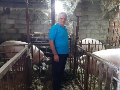 Svinja sa prasićima Svinja sa prasićima