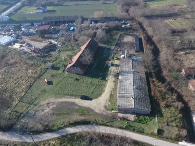 Svinje hrani voćem i povrćem