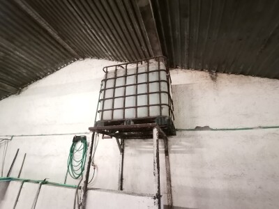 Svinje rokću do "ručka", a podnevnu dremku ne ometa ni lokalni melos