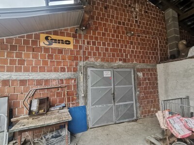 Svinje rokću do "ručka", a podnevnu dremku ne ometa ni lokalni melos