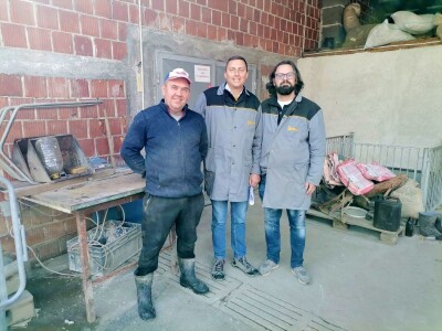 Svinje rokću do "ručka", a podnevnu dremku ne ometa ni lokalni melos