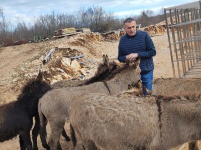 Svinjogojstvo u Studencima