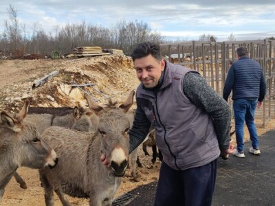 Svinjogojstvo u Studencima