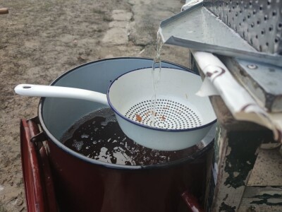 Svinjokolja, klanje, kolinje - tradicija koja ne izumire