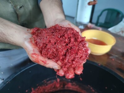 Svinjokolja, klanje, kolinje - tradicija koja ne izumire