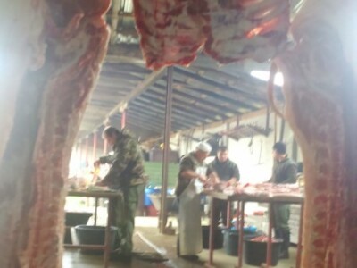 Svinjokolja kroz pole