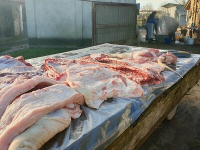 Svinjokolja na OPG Rastija