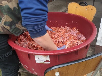 Svinjokolja na OPG Rastija