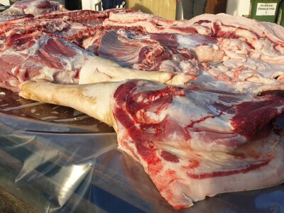 Svinjokolja na OPG Rastija