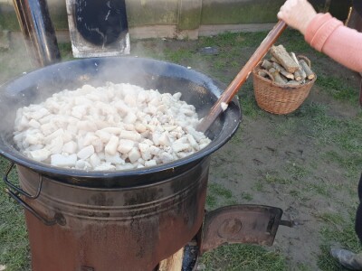 Svinjokolja na OPG Rastija