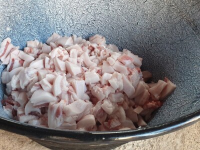 Svinjokolja na OPG Rastija