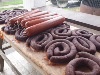 Svinjokolja na OPG Rastija