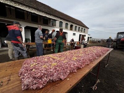 Svinjokolja u Posavskim Podgajcima 2025.