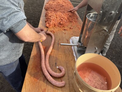 Svinjokolja u Posavskim Podgajcima 2025.