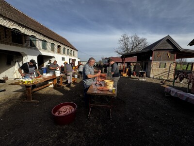 Svinjokolja u Posavskim Podgajcima 2025.