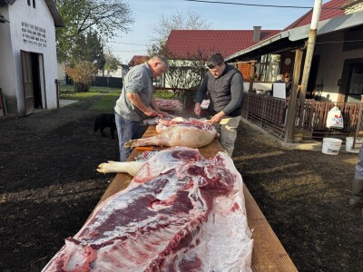 Svinjokolja u Posavskim Podgajcima 2025.