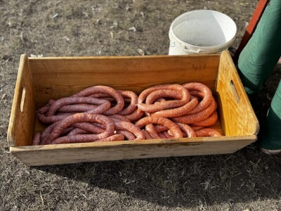 Svinjokolja u Posavskim Podgajcima 2025.