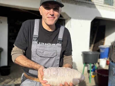 Svinjokolja u Posavskim Podgajcima 2025.