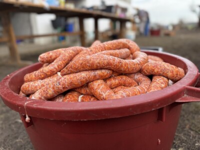 Svinjokolja u Posavskim Podgajcima 2025.