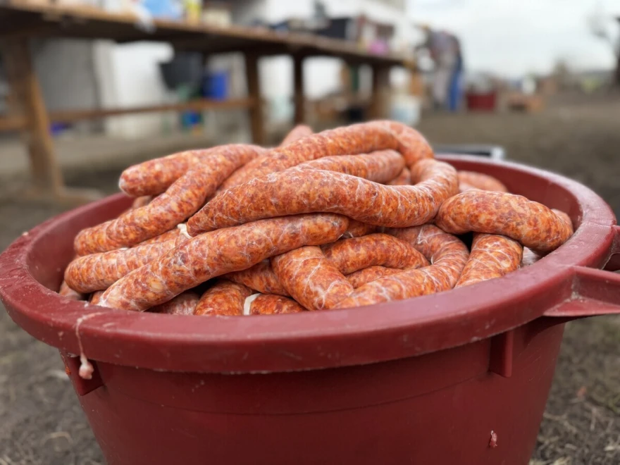 kobasica
