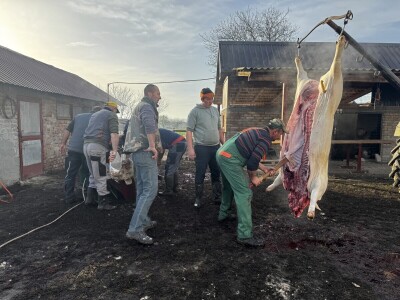 Svinjokolja u Posavskim Podgajcima 2025.