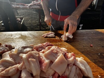 Svinjokolja u Posavskim Podgajcima 2025.