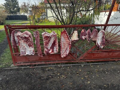 Svinjokolja u Posavskim Podgajcima 2025.